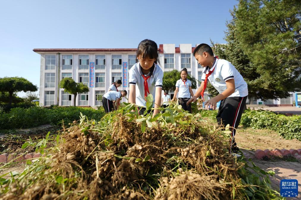 vns86.com威尼斯城